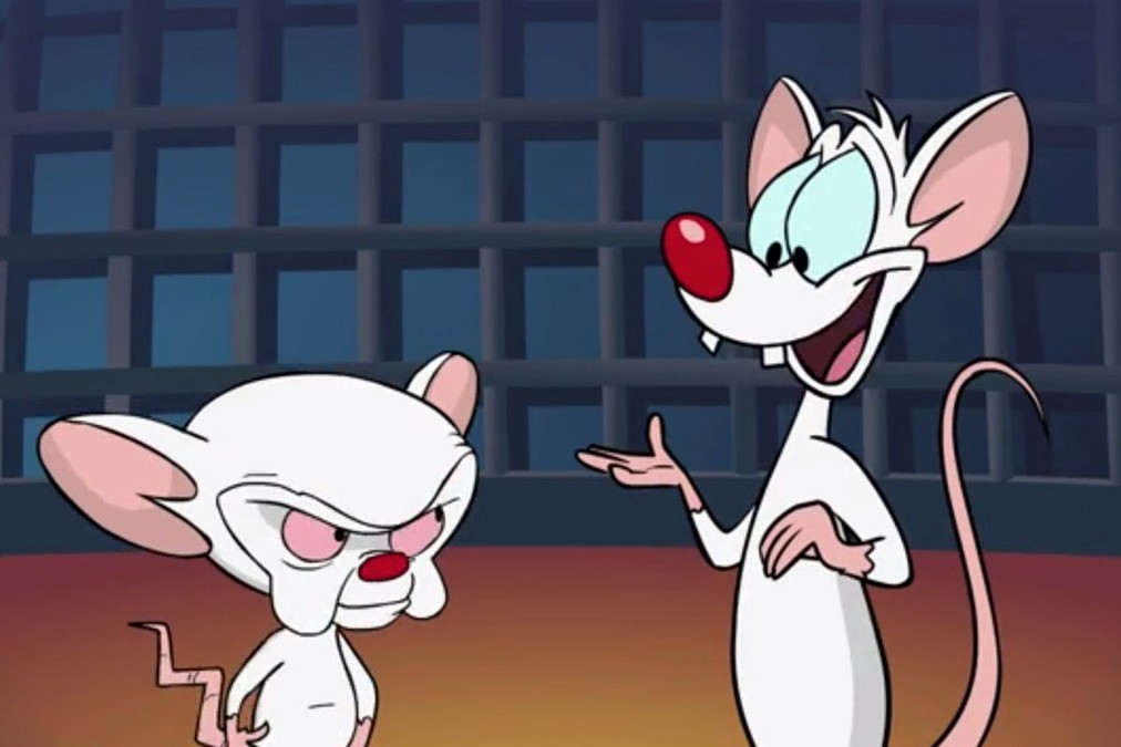 Pinky and the Brain Photo